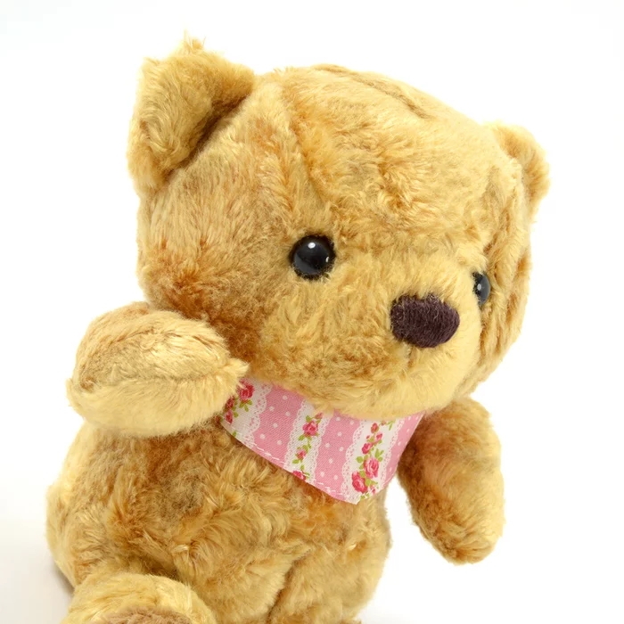 Pucci The Bear Plush - Image 3