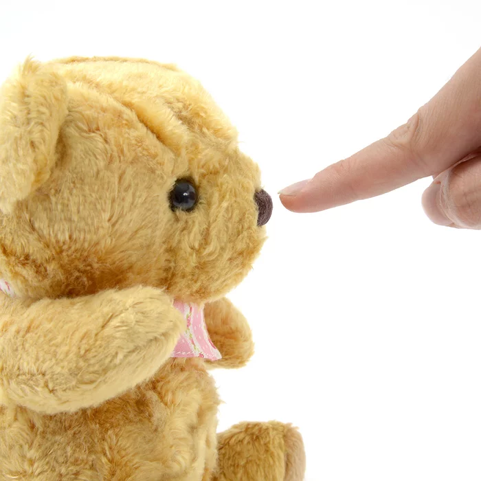 Pucci The Bear Plush - Image 4