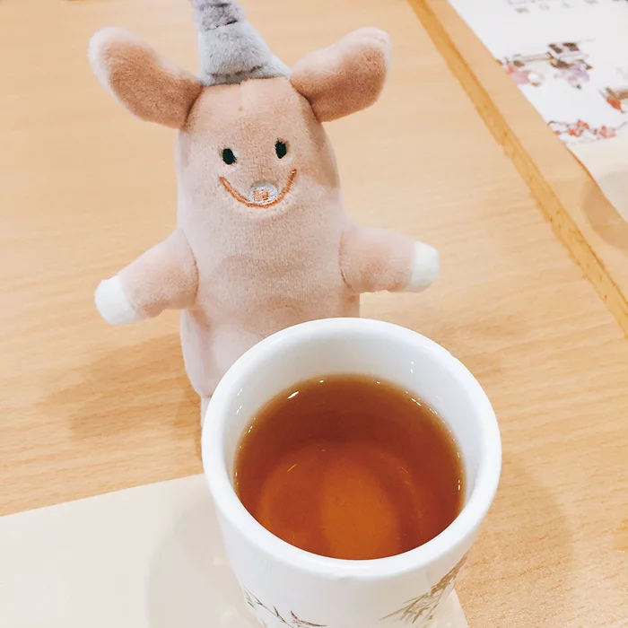 Roomies Party Take Me Roomies Plush Collection - Image 8