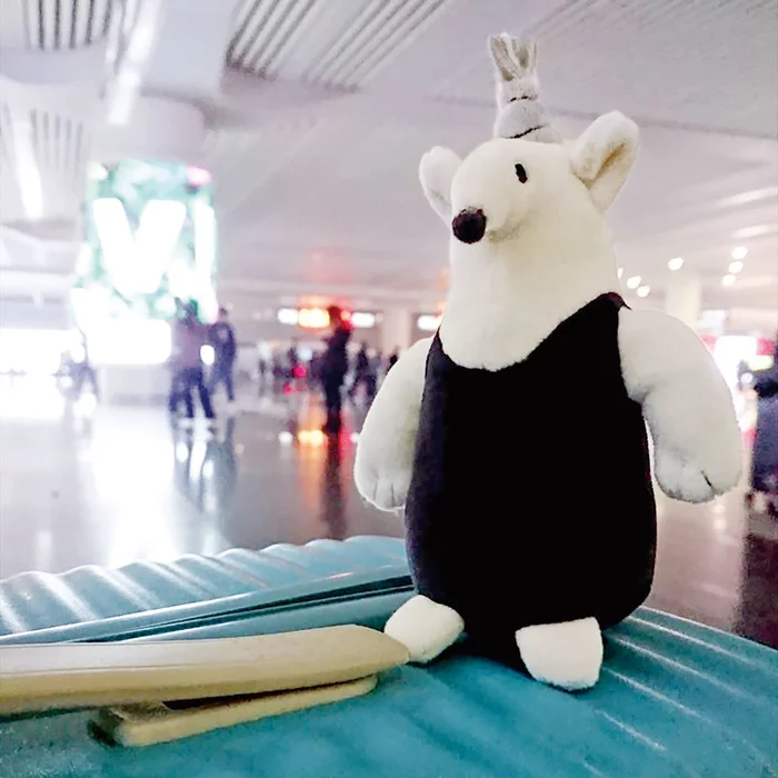 Roomies Party Take Me Roomies Plush Collection - Image 9