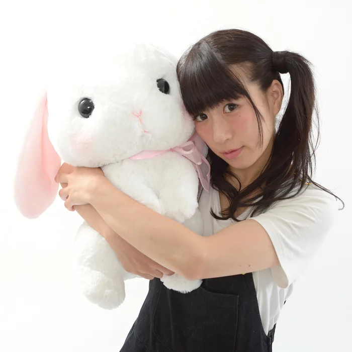 Pote Usa Loppy Onedari Rabbit Plush Collection (Big) - Image 14