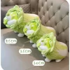 Vegetable Fairy Series Cabbage Dog 35cm Plush